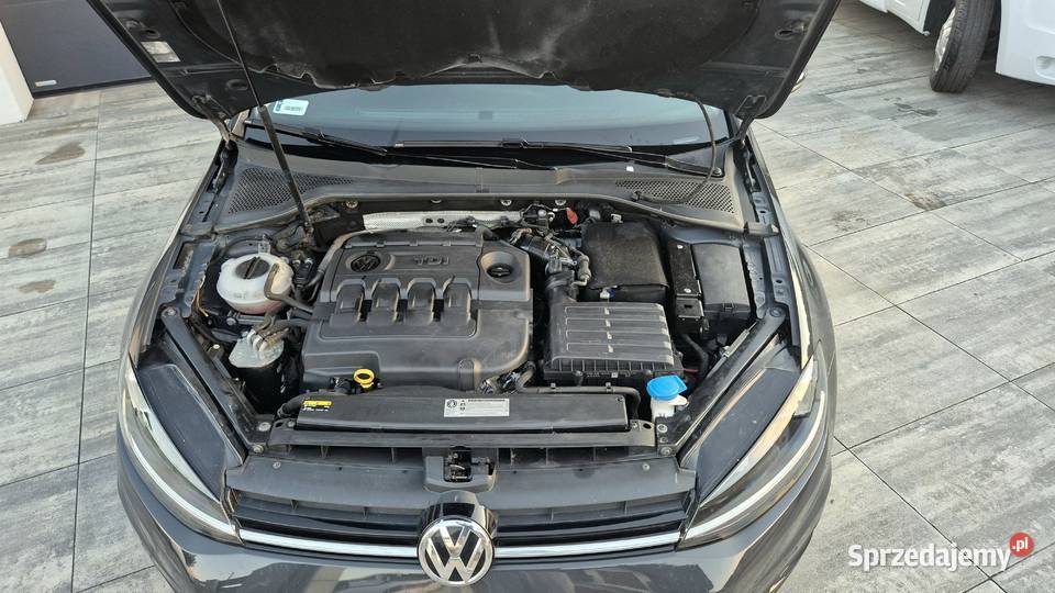 Volkswagen Golf VII 16 7 TDI 90 2017r 2 Nowy Staw