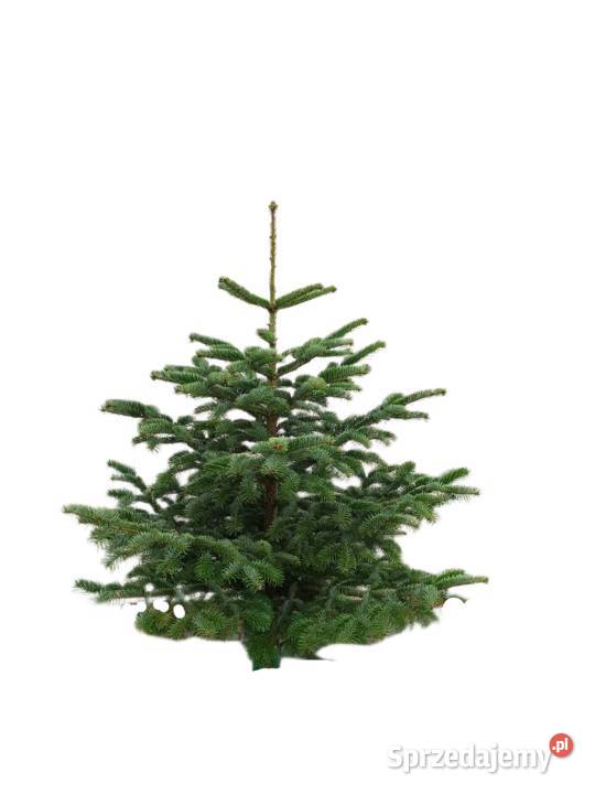Choinki z plantacji z dostawą do domu Boże Narodzenie Tarczyn