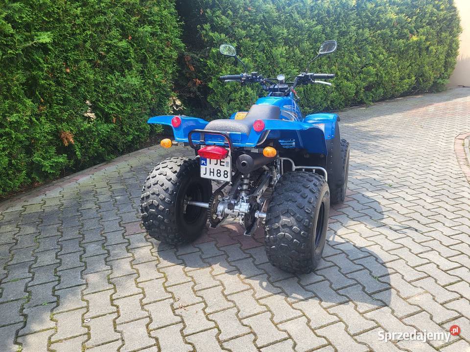 Kawasaki kef 300 zarejstrowany kat B ltz trx Szczodrkowice