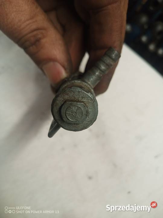 WSK SPORT BĄK LELEKDUDEK pomorskie