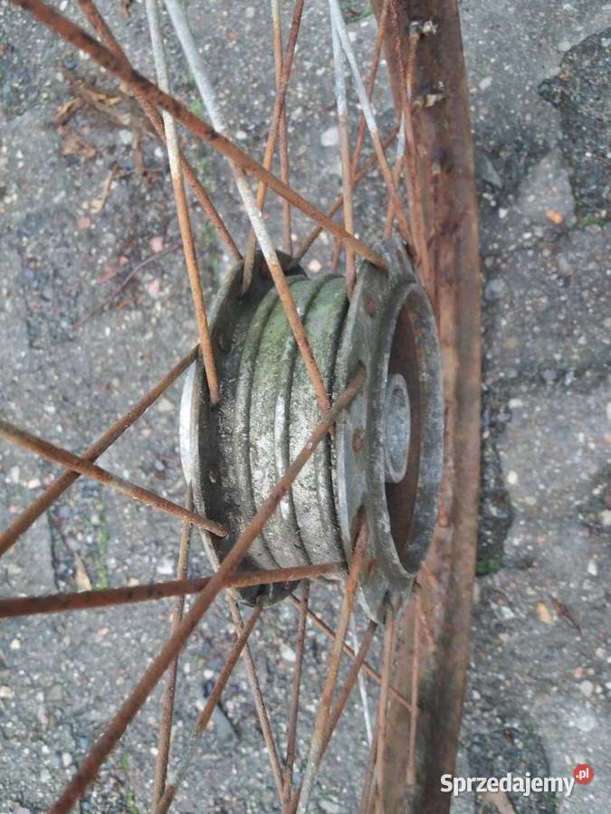 Koło tył żak ryś komar 230 Koła Lisew