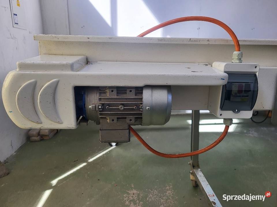 Taśmociąg prosty przenośnik taśmowy 300 x 80 Białogard