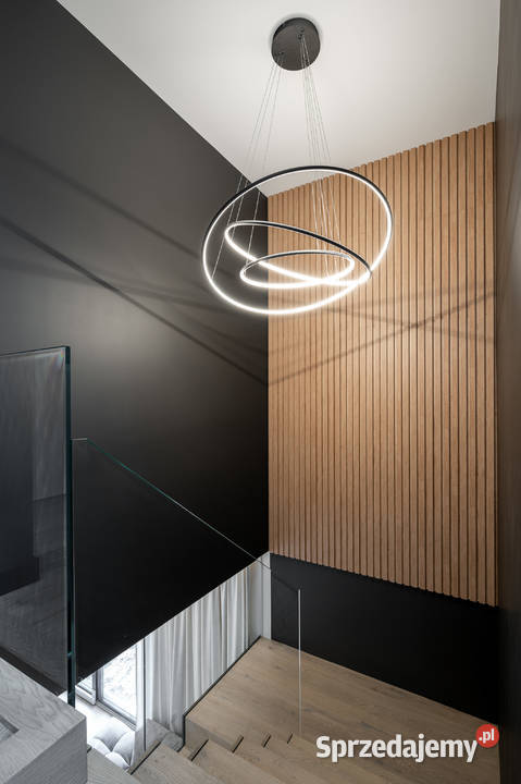 Profesjonalne malowanie mieszkań i domów Sprzęt