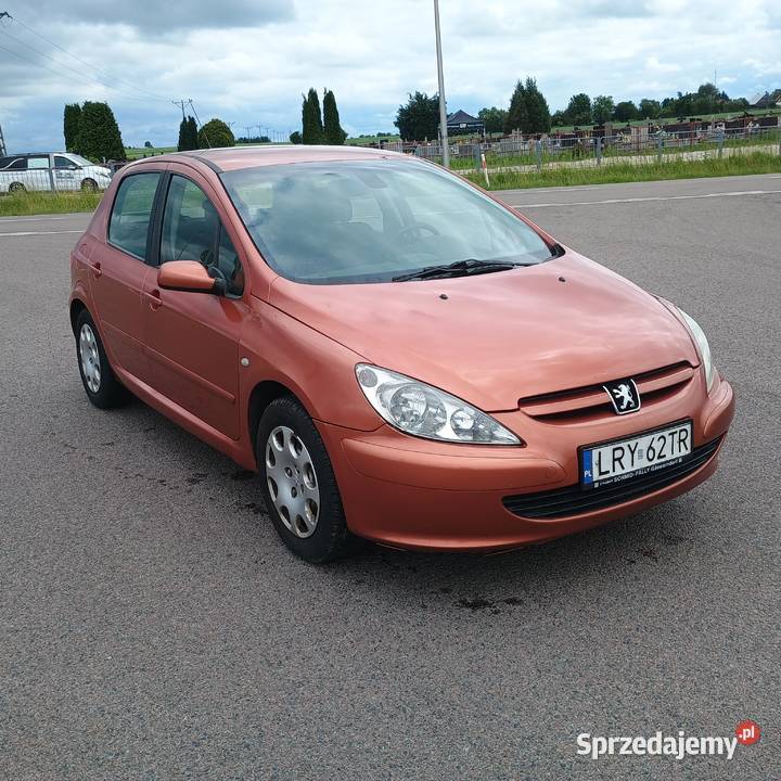 Peugeot 307 20 Diesel Sprzedaz Zamiana 307 Bychawa