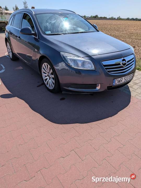 Opel Insignia Stęszew
