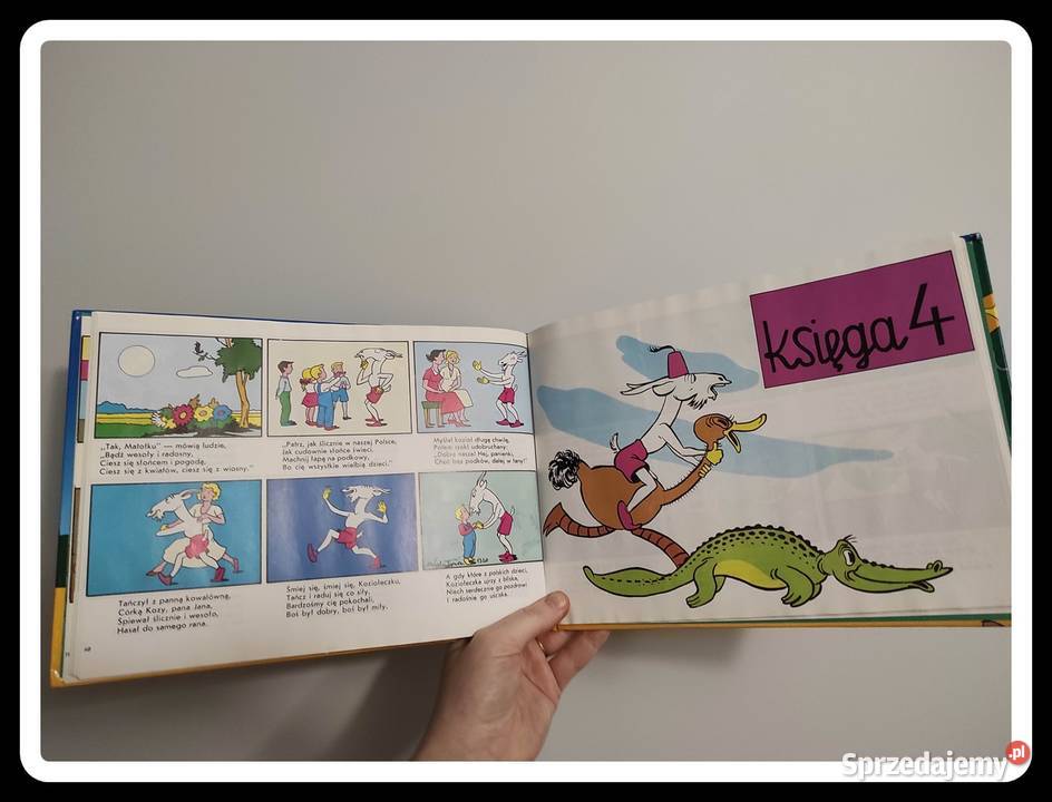 K Makuszyński i M Walentynowicz Przygody twarda Książki dla dzieci mazowieckie Płock