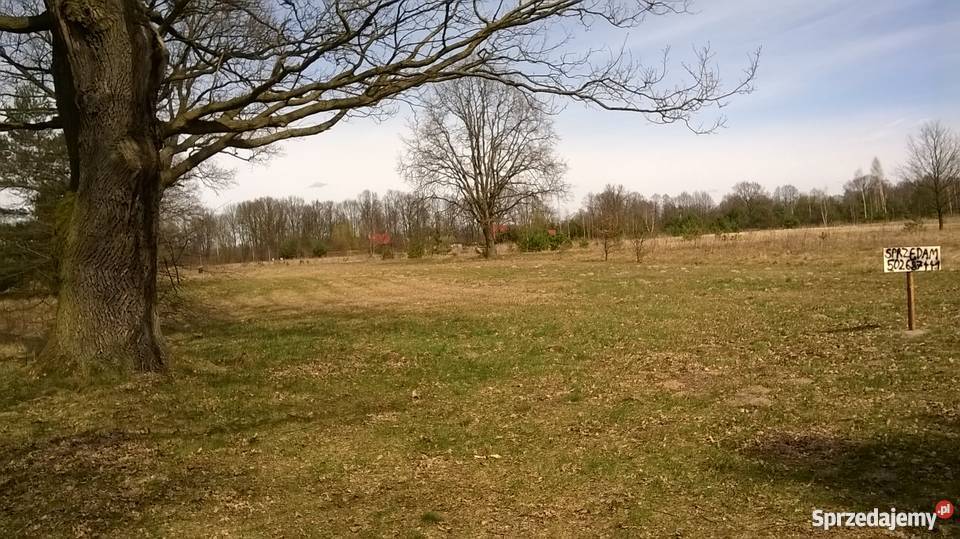 działka zalewem zegrzyńskim Arciechów 2700m2 mazowieckie Arciechów