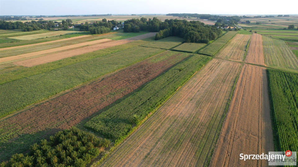 Działka 14235m2 Zawadka sprzedam