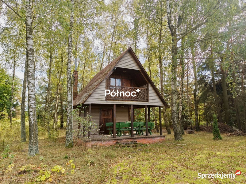 Siedlisko z domem całorocznym i letniskowym 11890m2 Malowa Góra