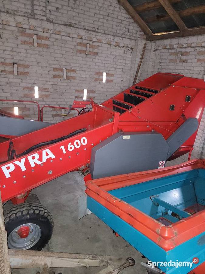 Kombajn ziemniaczany Pyra 1600 Anna Bolko karlik