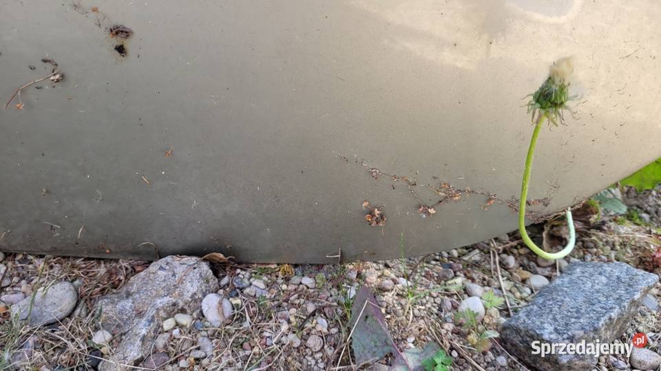 Drzwi Renault Laguna II Łagów sprzedam