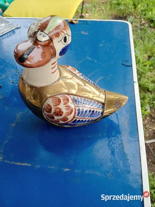 Kaczka Tonala Warszawa sprzedam