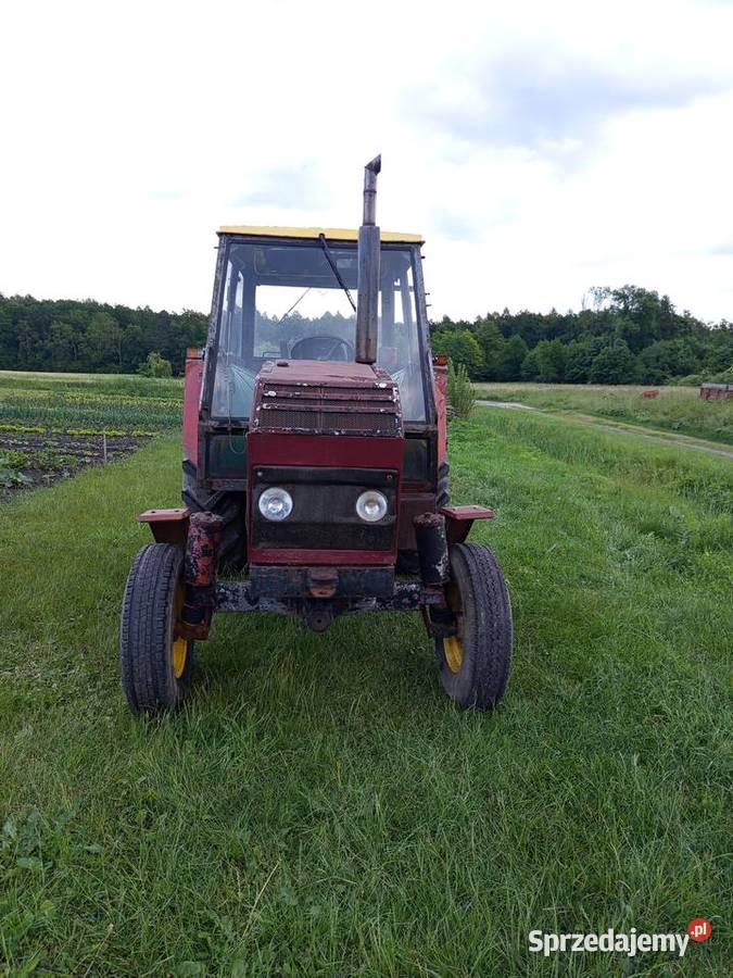Ursus C385 Rejowiec sprzedam