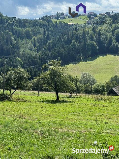 Grunt 1154m2 Jaworzynka budowlana Sprzedaż