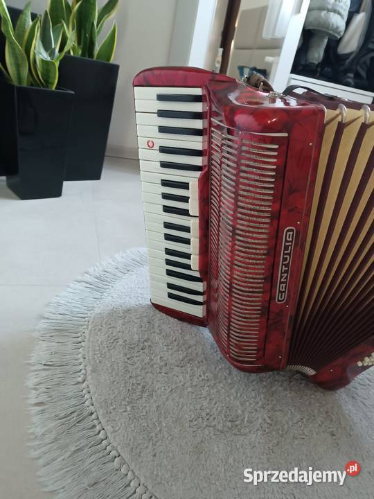 Akordeon cantulia 96 basów Dębica