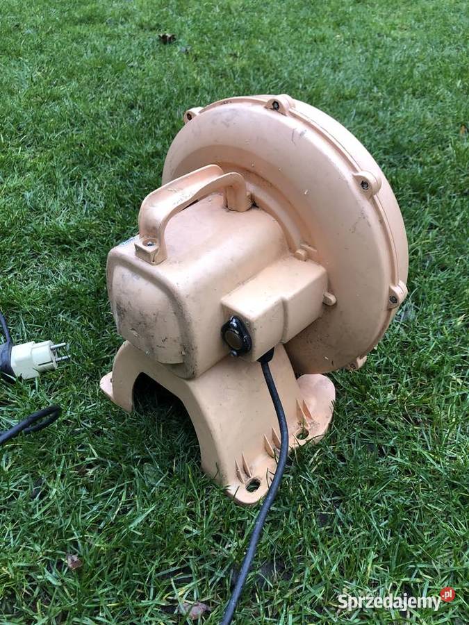 Dmuchawa wielkopolskie