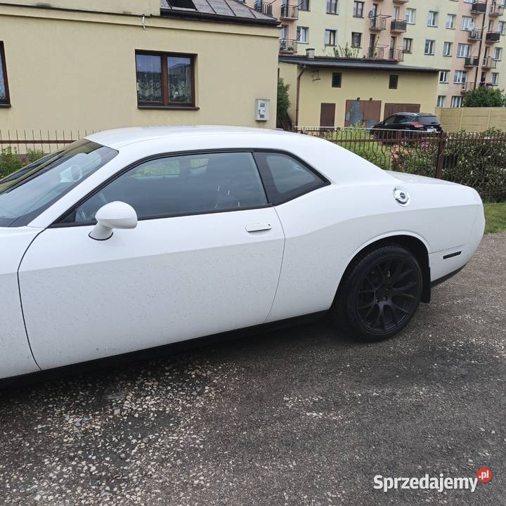 Dodge Challenger 36 SXT Końskie