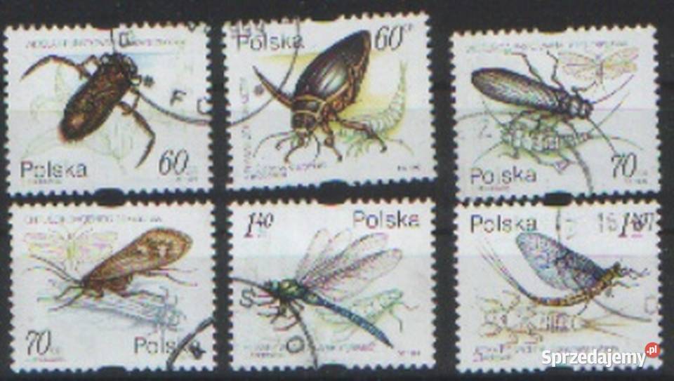 Zn Fi Wykaz w opisie kas z 1999 Gliwice