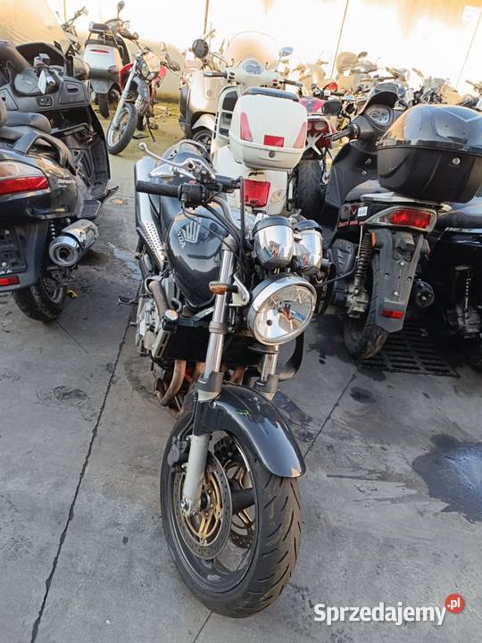 HONDA HORNET 600 PC25 03 ZADUPEK ogon owiewka Warszawa sprzedam