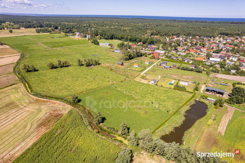 Sprzedaż gruntu 23900m Stegna