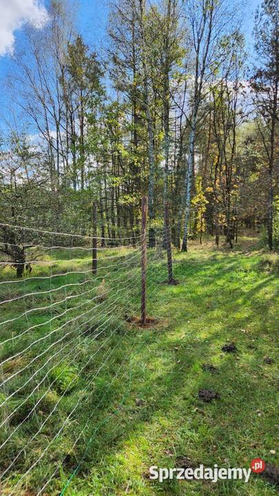 Na sprzedaż działka budowlana Ogrodzieniec siatka