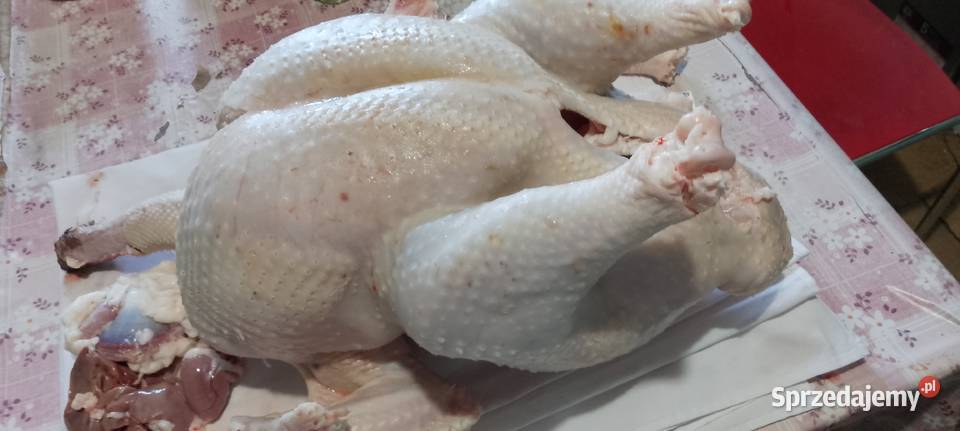 Mam na sprzedaż tuszki kury rosołowej wielkopolskie Dolsk