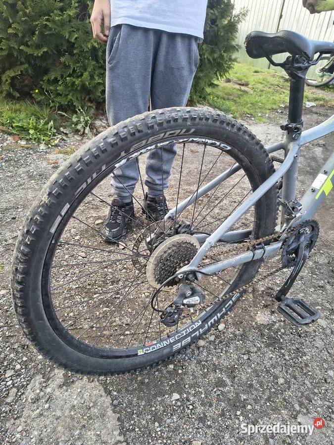 Trek marlin Kraków