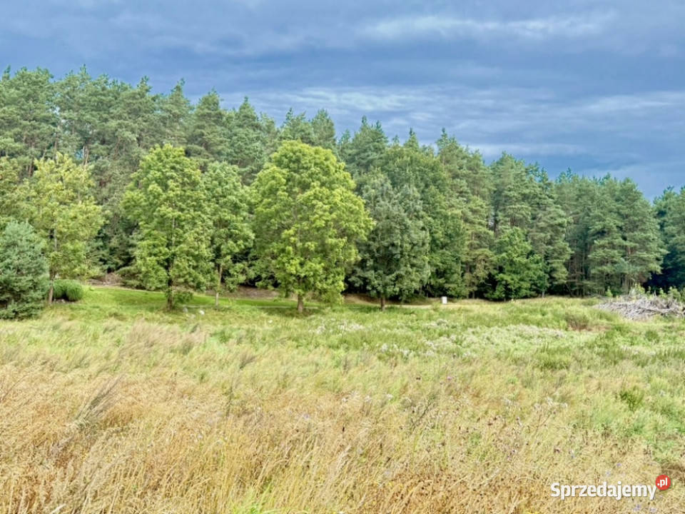 Duża działka 6000 m w Demlinie spokój natura i Demlin