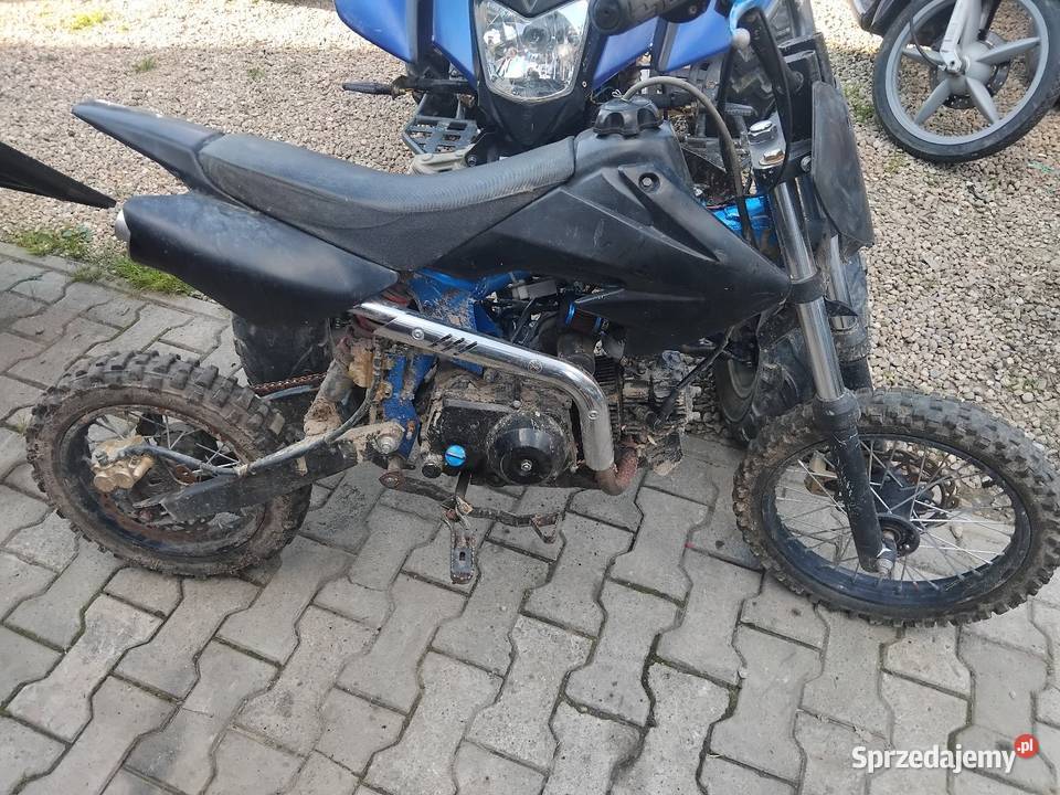 Cross 125 125cm3 Konina