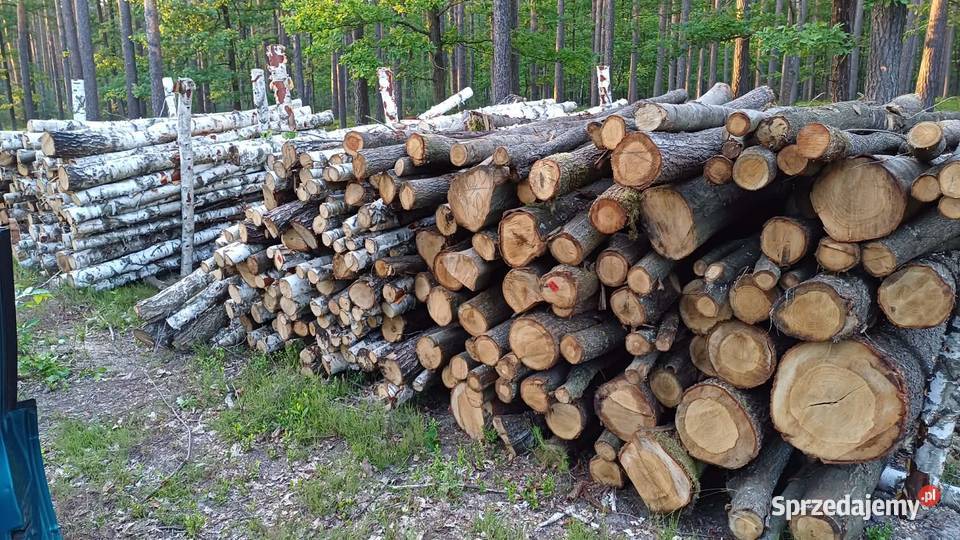 Brzoza pocięta łupana podkarpackie sprzedam