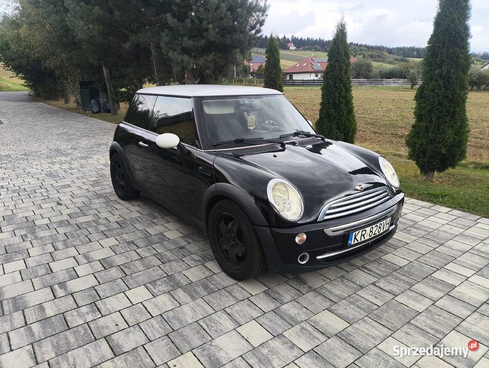 Mini One 16 2004r małopolskie Olszanka