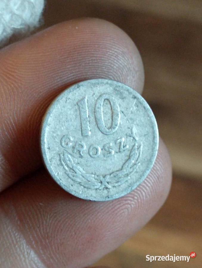 Sprzedam 10 gr 1949 r bzm Chełm sprzedam