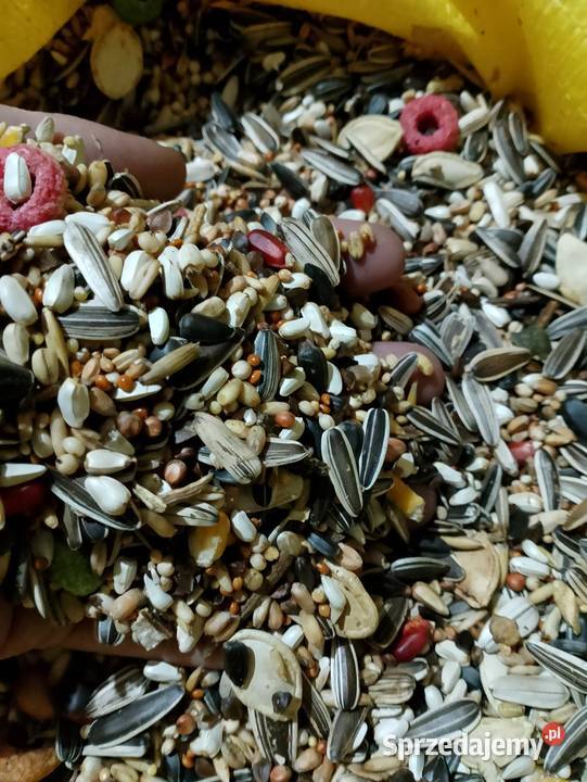 Karma papug kanarków gryzoni Ptaki Strzeleczki