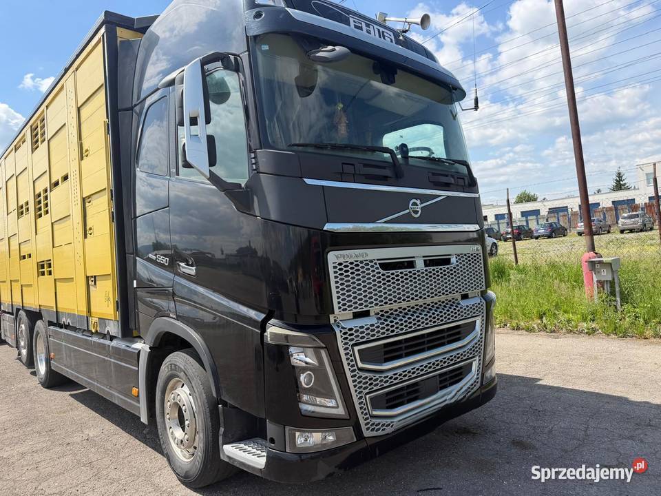 Auto do przewozu bydła żywca zwierząt Volvo FH16