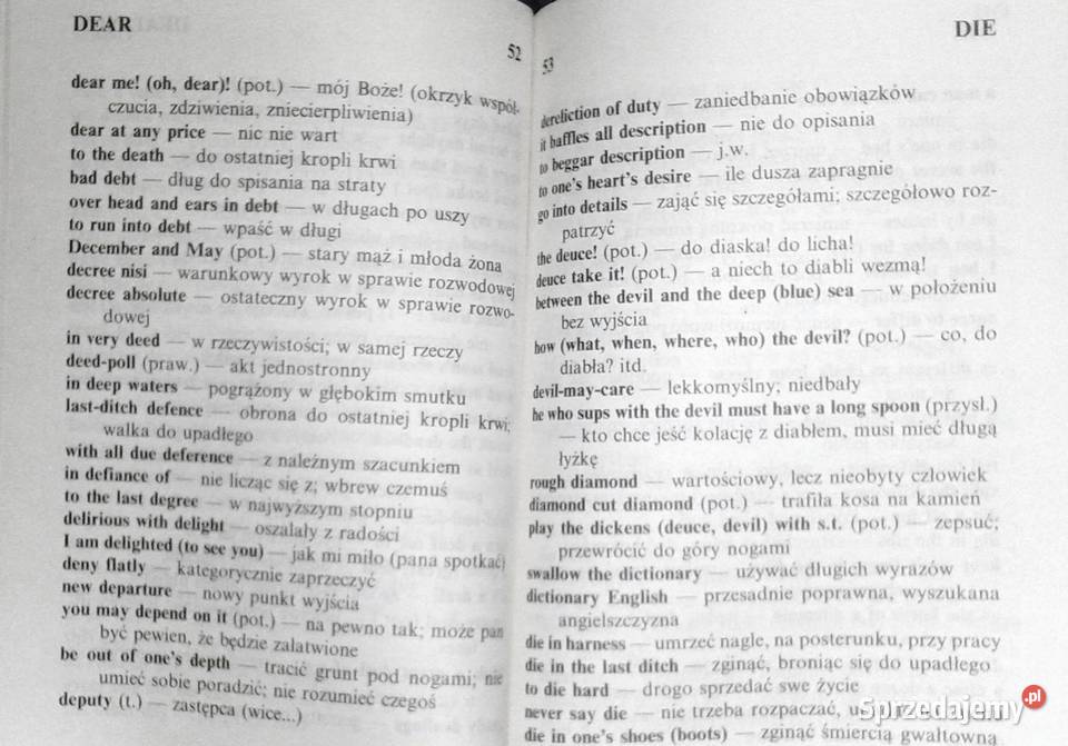 Angielskopolski słownik idiomów i zwrotów Piotr Chełm sprzedam