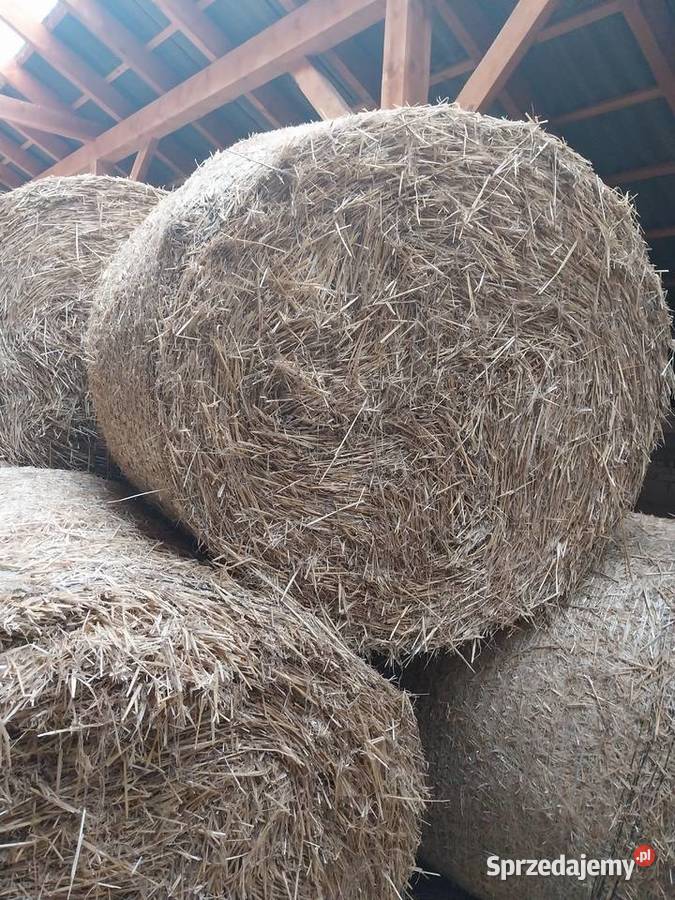 Sprzedam słomę przenną Waśniów