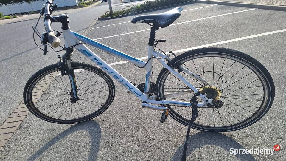 Rower kross evado L Miejskie Nysa