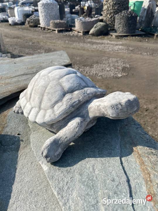 ŻÓŁW Figura Ogrodowa Rzeźba Betonowa Ozdoba do Pruszków sprzedam