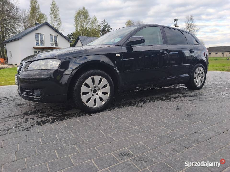 Audi A3 8P 20Tdi 2000cm3 lubelskie Dobryń-Kolonia