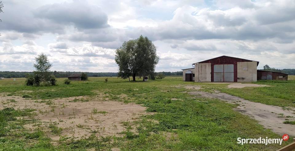 działka inwestycyjna 053ha woj podlaskie prąd Bielsk Podlaski