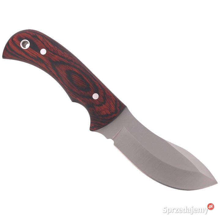 Nóż Muela Skinner Pakkawood Satin X50CrMoV15 Turystyka mazowieckie