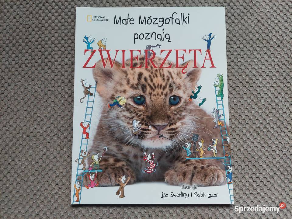 National Geographic Małe Mózgofalki poznają małopolskie Kraków sprzedam