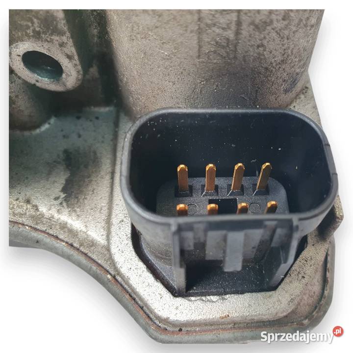 PRZEPUSTNICA Nissan Almera N16 Primera P12 18