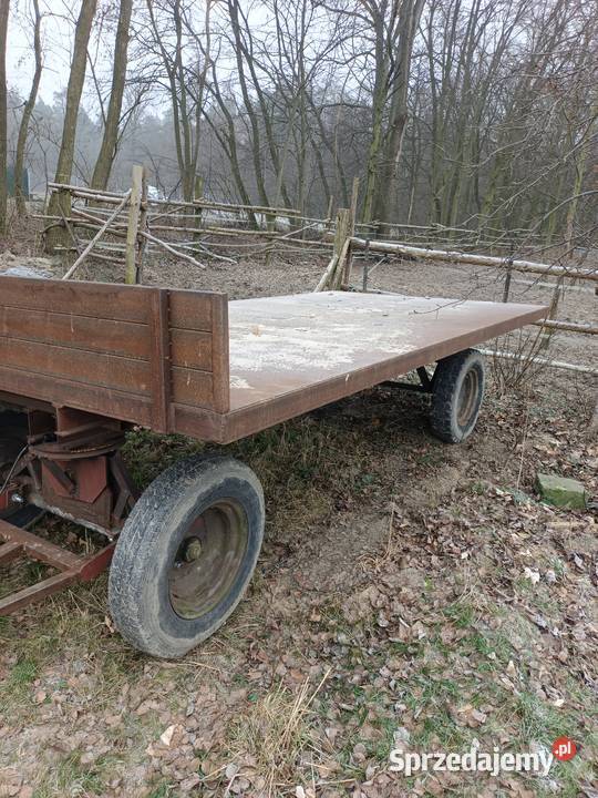 Przyczepa platforma laweta nieuszkodzony