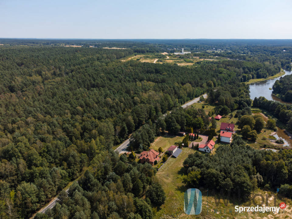 Grunt 12316m2 Inowłódz Sprzedaż