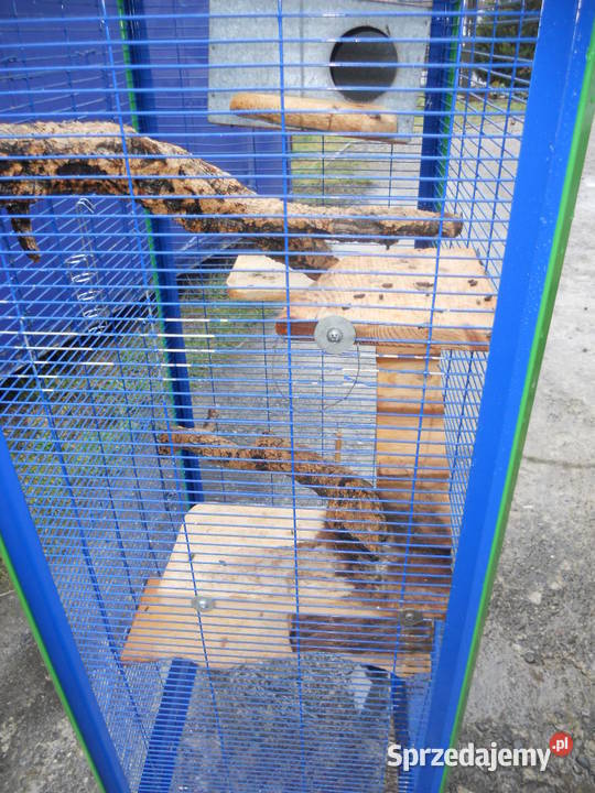 Duza klatke ptakow papugi Gryzoni Pozostałe sprzedam