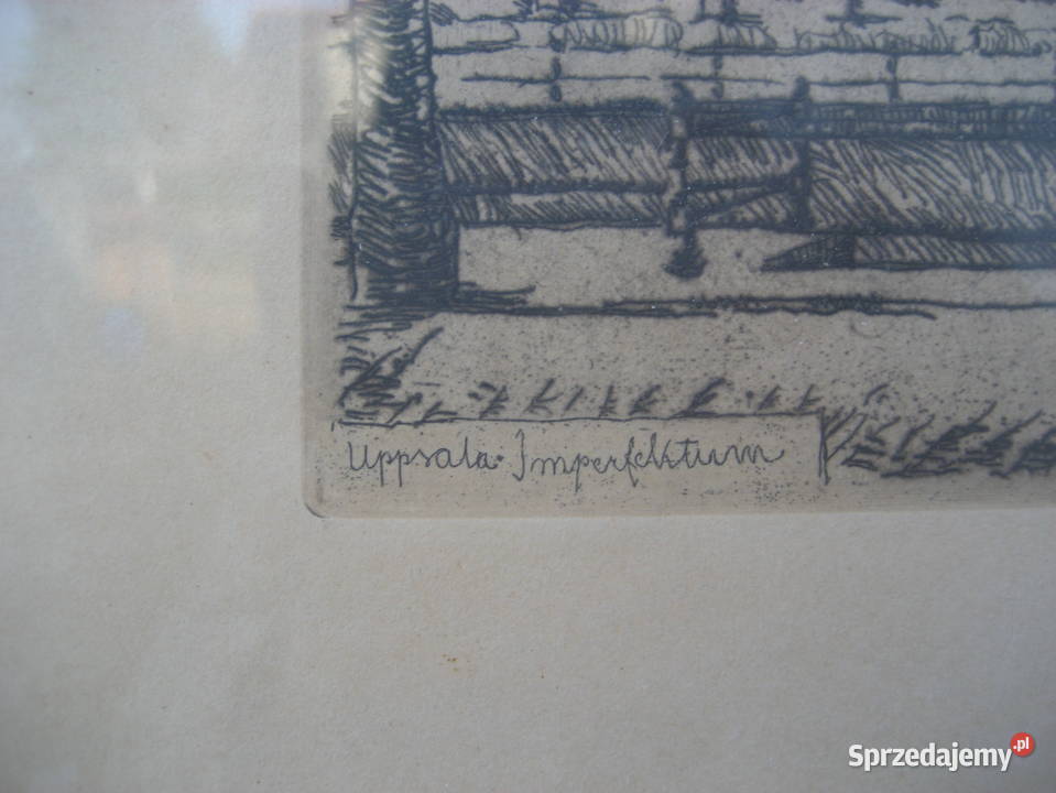 Litografia Ellis Wallin 1923 r Oryginał Antyki Warszawa