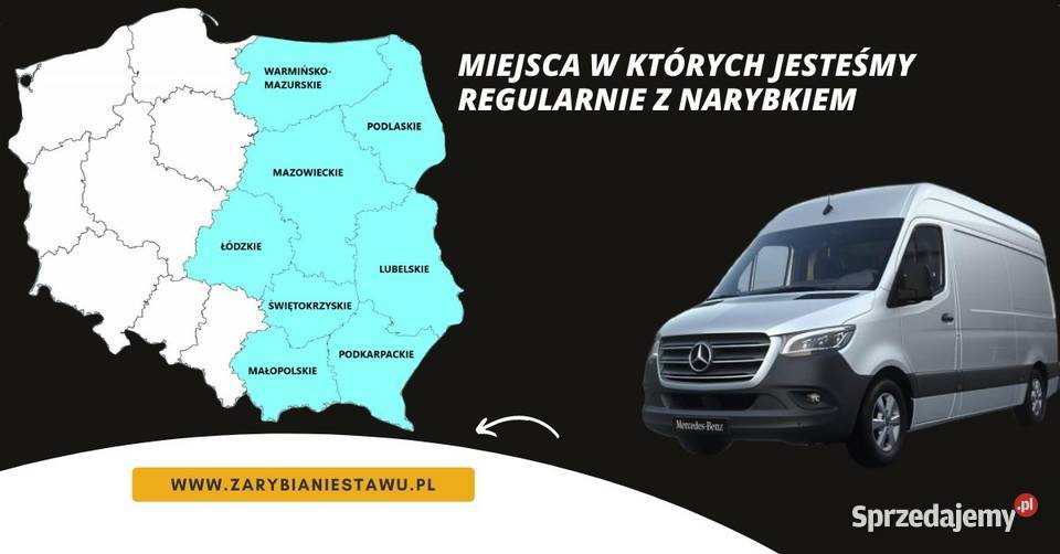 Narybek bolenia lubelskie Biała Podlaska