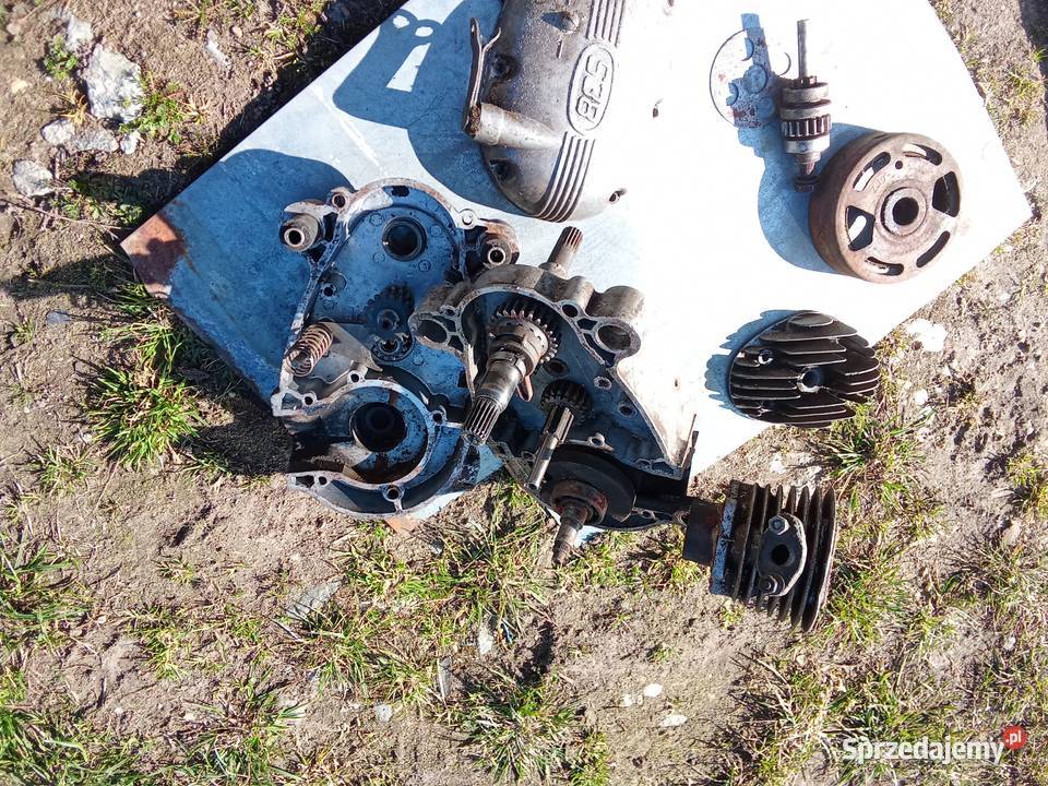 Silnik komar Niemodlin