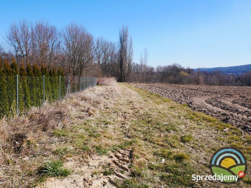 Niegoszowice gm Zabierzów działka 186 arowa w Sprzedaż